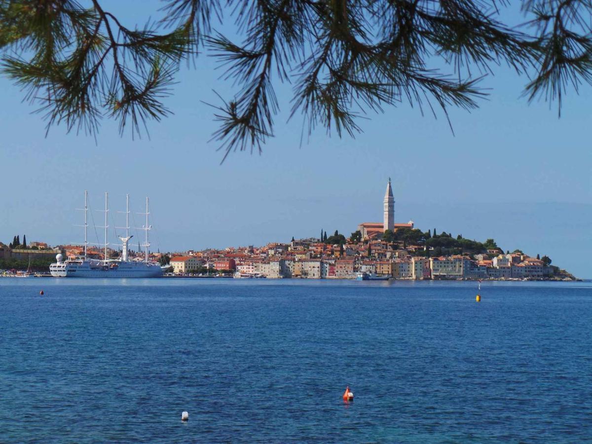 Apartment In Rovinj/Istrien 11735 Eksteriør billede
